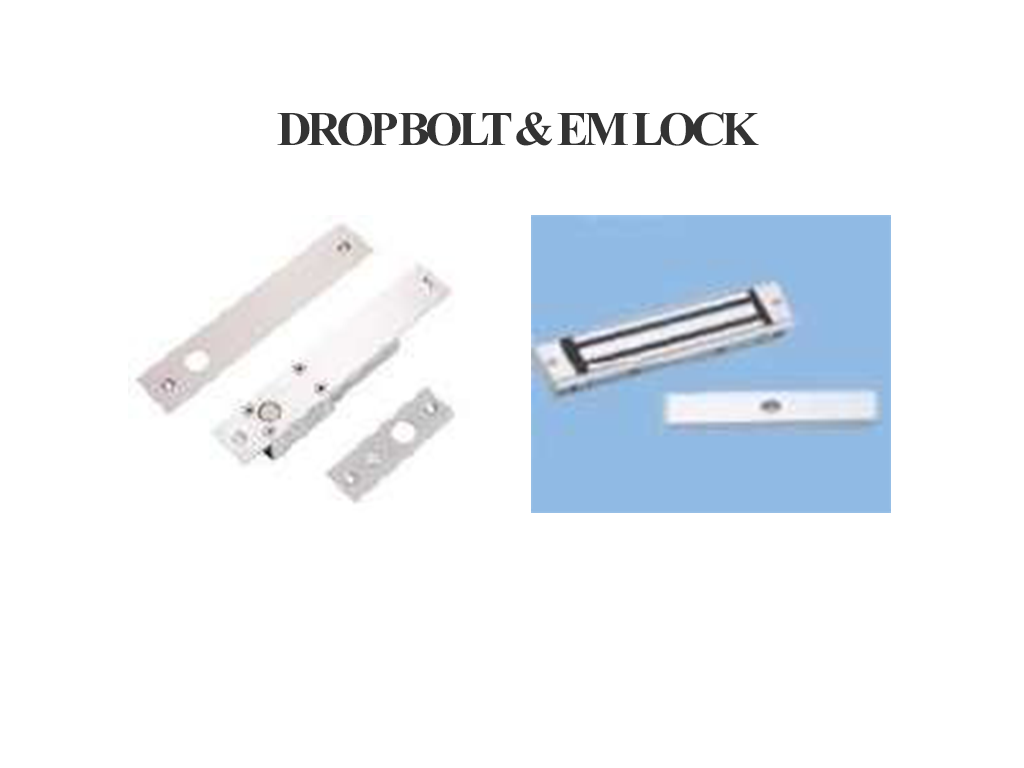 EM Lock & Dropbolt
